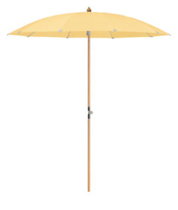 Alexo_round_wood_nobase_01092022_438