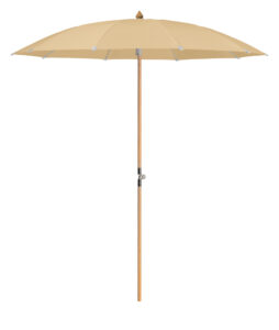 Alexo_round_wood_nobase_01092022_604