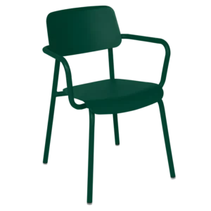 STUDIE_BRIDGE_VERT_CEDRE