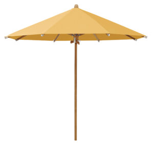 Teakwood_round_wood_nobase_01092022_617