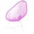 Magenta fuschia